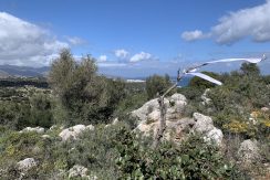 PLMAR9 photo (3)