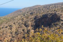PLMIL14 photo (3)