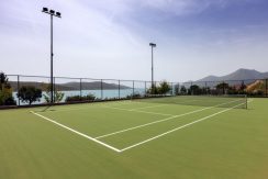 Tennis court of the complex