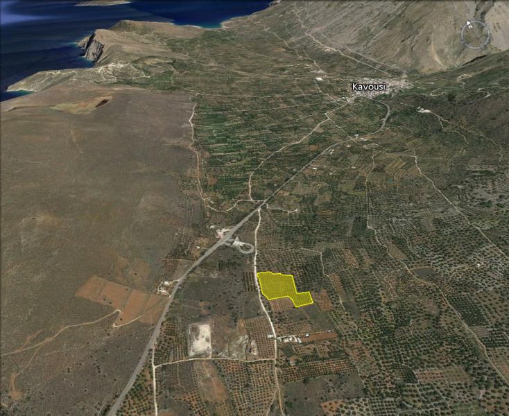 Large plot of building land with olive grove near Kavousi