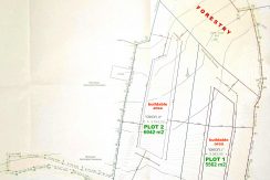 PLIST4 division