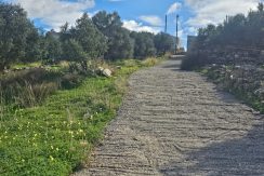 PLKOUN10 photo (1)