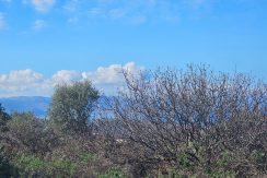 PLKOUN10 photo (3)