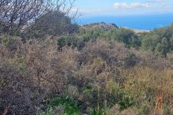 PLKOUN10 photo (4)