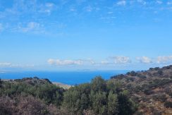 PLKOUN10 photo (6)