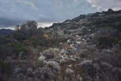 PLSI10 photo (1)