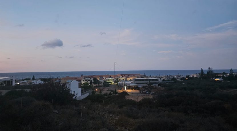 PLSI10 photo (3)