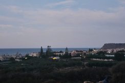 PLSI10 photo (5)