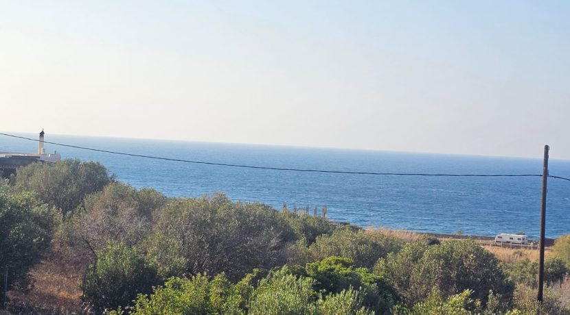 PLVLI3 photo (1)