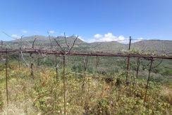 scaled-IMG_20220408_123024