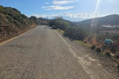 PLAG109 photo (7)