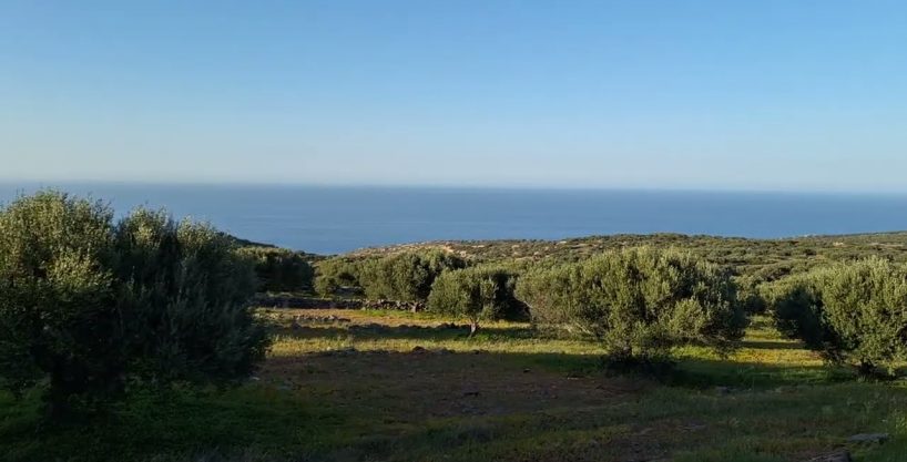 Rural seaview plot, north of Plaka, Elounda