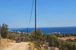 PLAG158 photo (12)