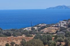 PLAG158 photo (6)