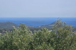 PLKH30 photo (2)