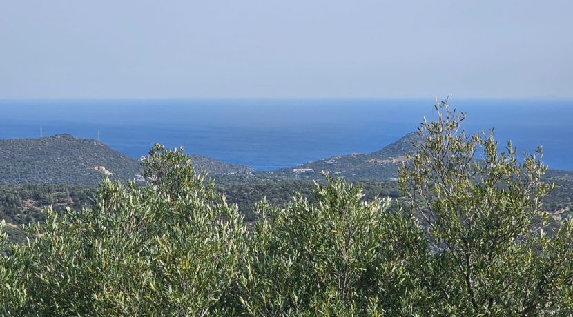 PLKH30 photo (2)