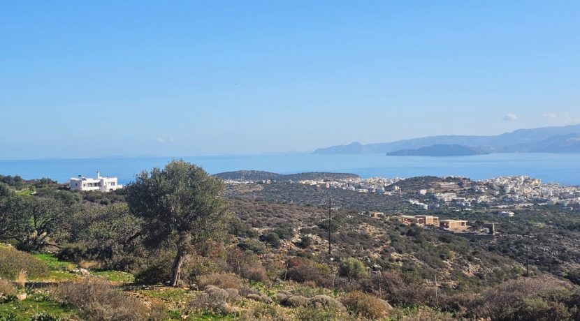 PLAG176 photo (1)