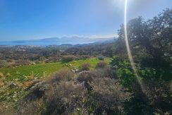 PLAG176 photo (10)