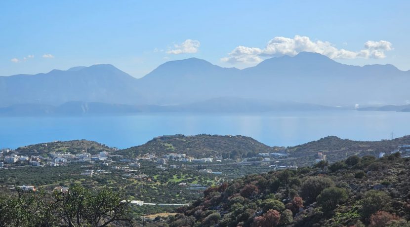 PLAG176 photo (11)