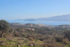 PLAG176 photo (2)