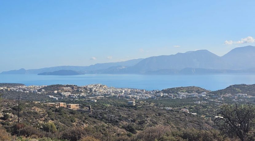 PLAG176 photo (3)