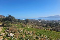 PLAG176 photo (7)