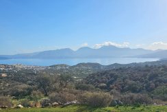 PLAG176 photo (9)