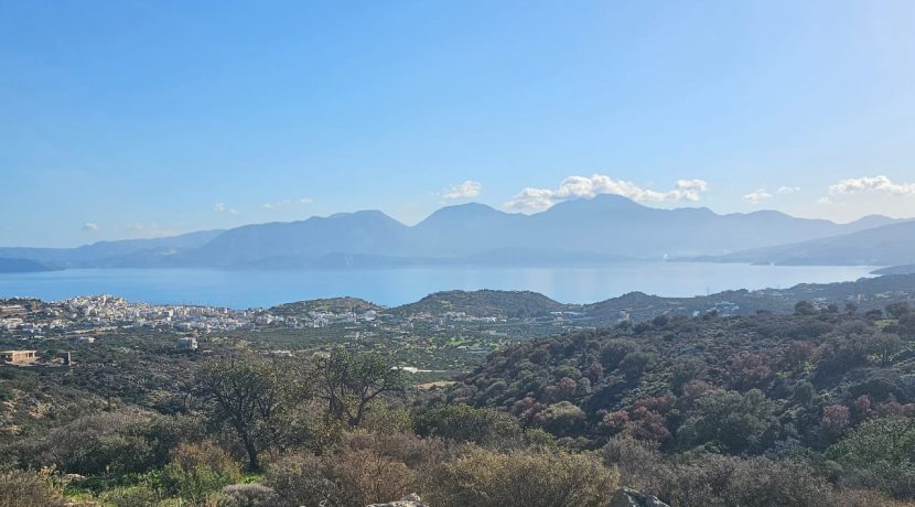 PLAG176 photo (9)