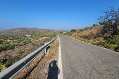 PLVROU7 photo (3)