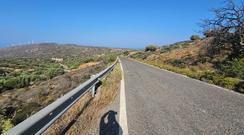 PLVROU7 photo (3)