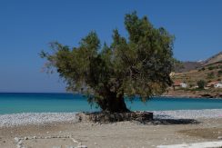 Tholos beach