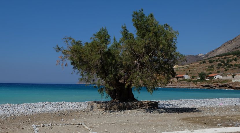 Tholos beach