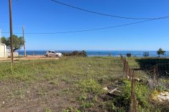 IMG-20250504-WA0008