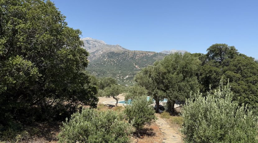 HLAK17 (1)