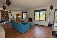 HLAK17 (11)