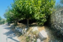 RHROUS1 (14)