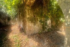 rhrous1 (10)