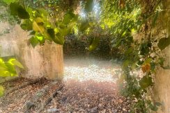 rhrous1 (11)