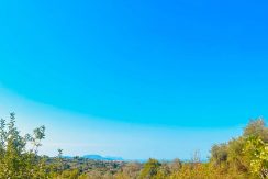 rhrous1 (2)