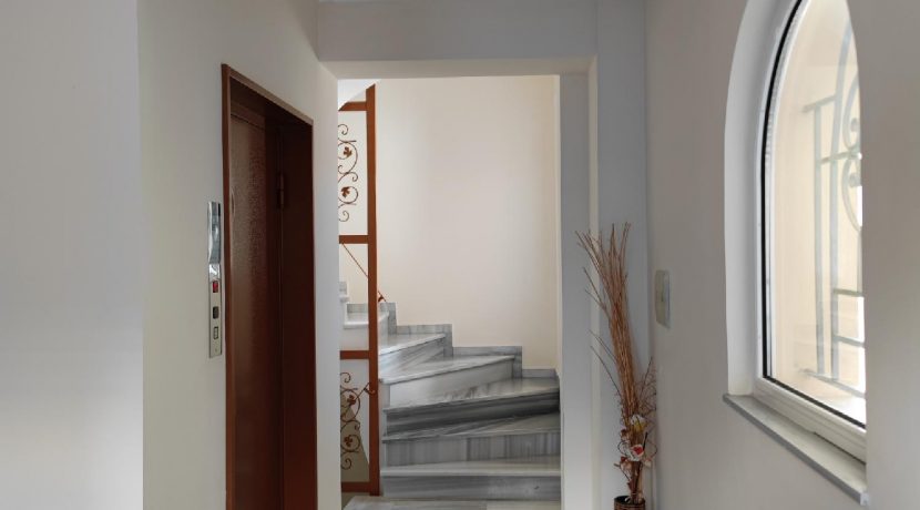 scaled-APPEIR1 (30)