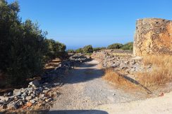 PLLOUM10 photo (10)