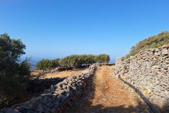 PLLOUM10 photo (11)