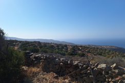 PLLOUM10 photo (3)