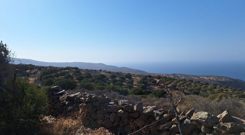 PLLOUM10 photo (3)