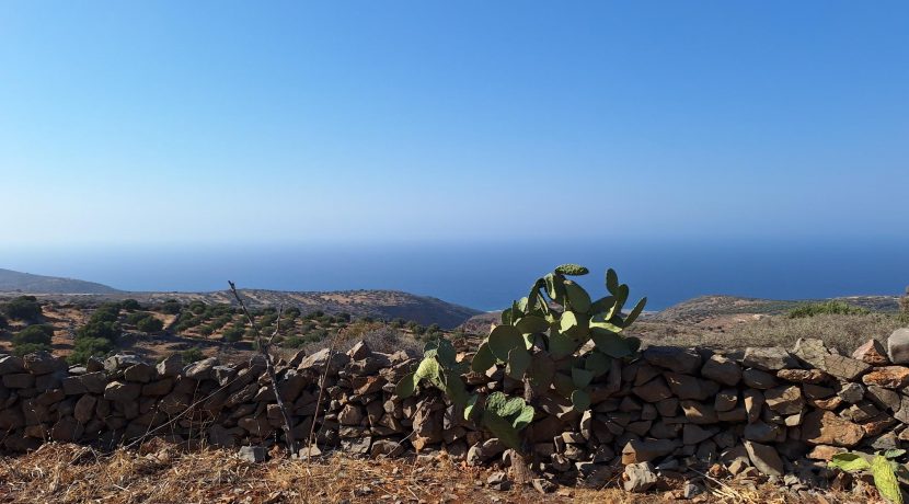 PLLOUM10 photo (5)