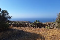 PLLOUM10 photo (6)