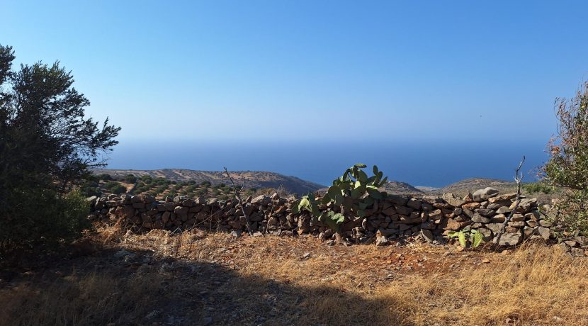 PLLOUM10 photo (6)