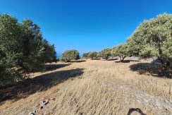 PLLOUM10 photo (9)