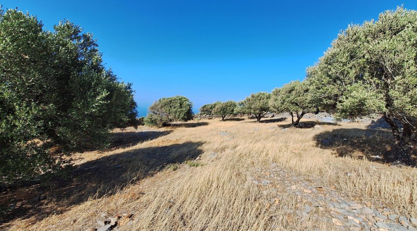 PLLOUM10 photo (9)