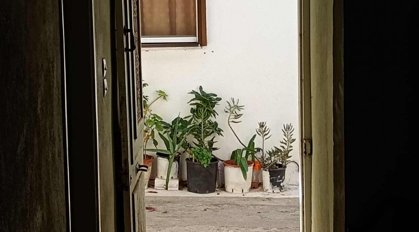 APKR10 (2)